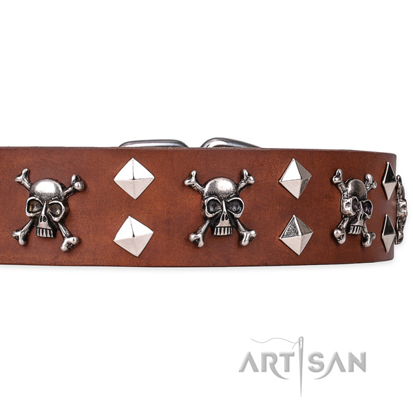 Daily leather dog collar with remarkable decorations