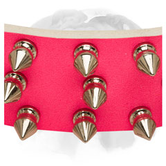 Genuine leather dog collar painted in pink for English Bulldog breed