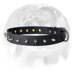 Full grain leather English Bulldog collar