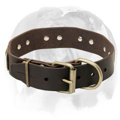 Genuine leather stylish dog collar for English Bulldog breed