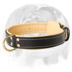 Genuine leather English Bulldog collar with Nappa padding