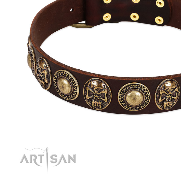 Full grain natural leather dog collar with embellishments for easy wearing