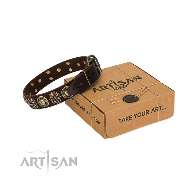 Studded leather dog collar for stylish walks