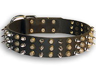 Bulldogs Leather dog collar with 3spikes+3old brass pyramids