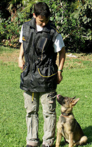 Dog Training Gear  Best Dog Training Equipment