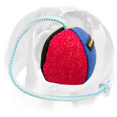 Bite ball for English Bulldog for training