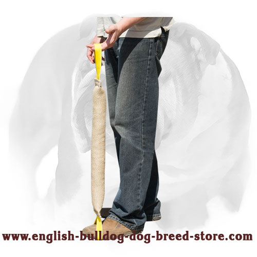English Bulldog bite tug with 2 handles for training and playing