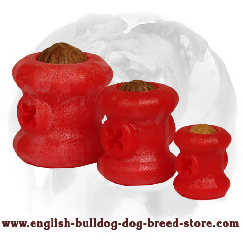 Foam Toys for Training Chewing Skills
