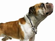 training dog collars,fure saver collars,curagan collar,pinch collar,prong collars ,stell collars