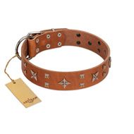 "Dreamy Gleam" FDT Artisan Tan Leather English Bulldog Collar Adorned with Stars and Squares