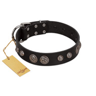 "Tricky Ricky" FDT Artisan Black Leather English Bulldog Collar Adorned with Silver-Like Conchos