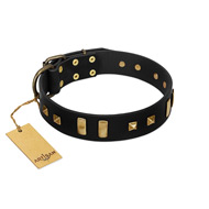 "Fit for Royalty" FDT Artisan Black Leather English Bulldog Collar with Plates and Small Square Studs