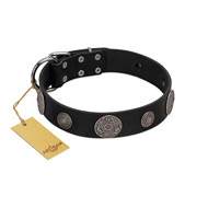 "Ad Infinitum" Durable FDT Artisan Black Leather English Bulldog Collar with Chrome Plated Brooches