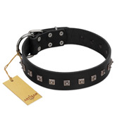 "Natural Beauty" Premium Quality FDT Artisan Black Designer English Bulldog Collar with Dotted Studs