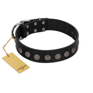 "Silent Star" Handmade FDT Artisan Designer Black Leather English Bulldog Collar with Engraved Plates