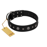 "Mr. Elegance" Designer FDT Artisan Black Leather English Bulldog Collar with Silver-Like Studs