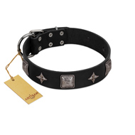 "Black Cavalier" Handmade FDT Artisan Black Leather English Bulldog Collar with Silver-Like Stars and Large Plates