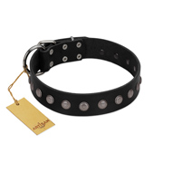 "Silver Flower" Exclusive FDT Artisan Black Leather English Bulldog Collar with Silver-Like Studs
