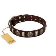 "Skull's Adventure" FDT Artisan Brown Leather English Bulldog Collar with Plates and Ovals