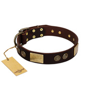 "Bow-Wow Effect" FDT Artisan Brown Leather English Bulldog Collar with Plates and Ornate Studs