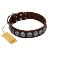"Charming Circles" FDT Artisan Brown Leather English Bulldog Collar with Silver-like Studs