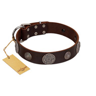 "Flashy Woof" FDT Artisan Brown Leather English Bulldog Collar with Chrome Plated Brooches