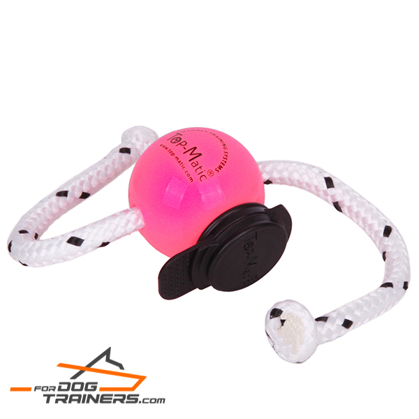 Colorful Pink Ball