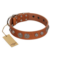 "Era Infinitum" FDT Artisan Tan Leather English Bulldog Collar Adorned with Chrome-plated Circles