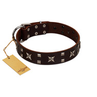"Bigwig Woof" FDT Artisan Brown Leather English Bulldog Collar with Chrome Plated Stars and Square Studs