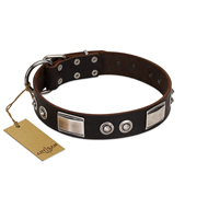 "Baller Status" FDT Artisan Brown Leather English Bulldog Collar Adorned with a Set of Chrome Plated Studs and Plates