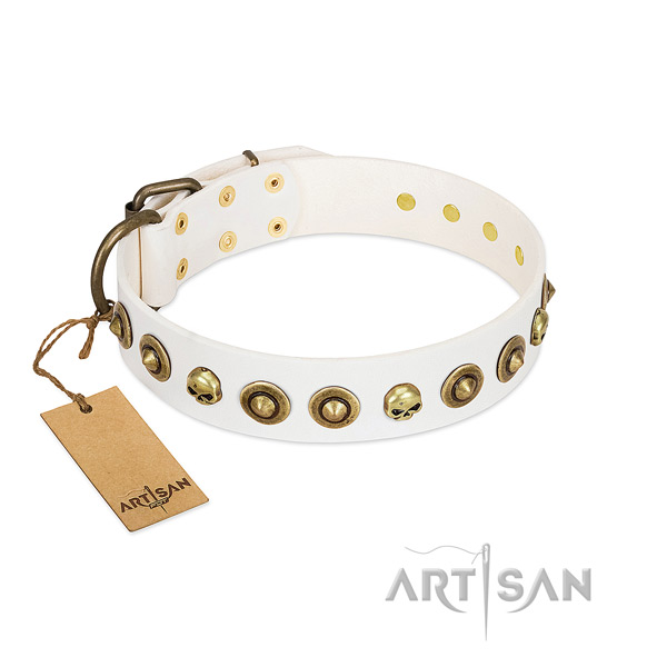 Genuine leather collar with exquisite adornments for your four-legged friend