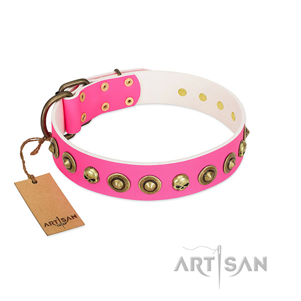 Stylish genuine leather dog collar with rust resistant decorations