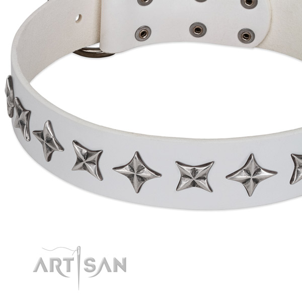 Everyday walking embellished dog collar of best quality natural leather