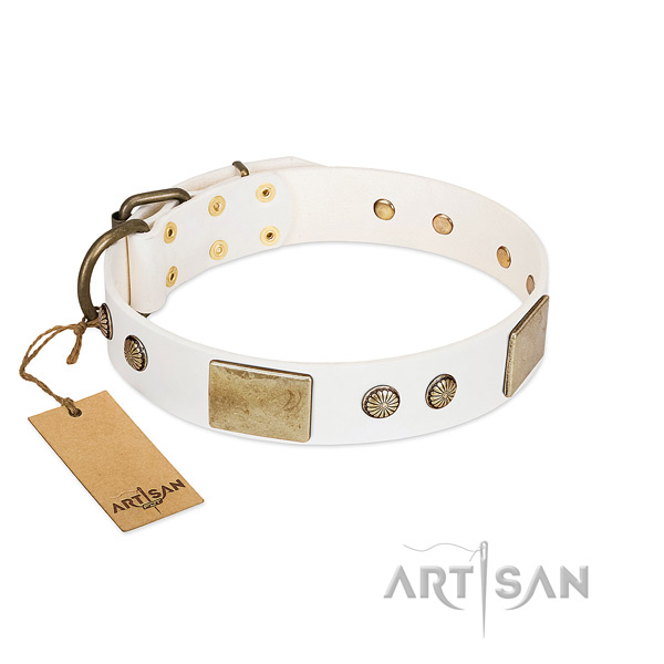 Adjustable natural leather dog collar for stylish walking your four-legged friend