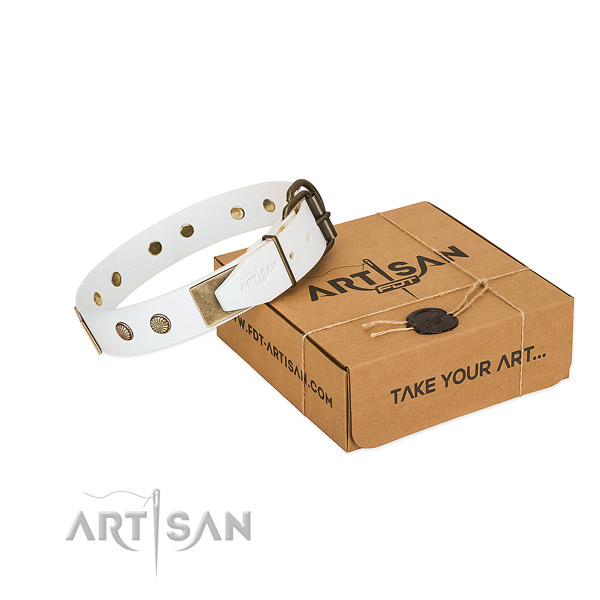 Rust resistant buckle on dog collar for handy use