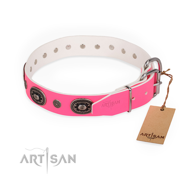 Fancy walking handmade dog collar with corrosion proof buckle