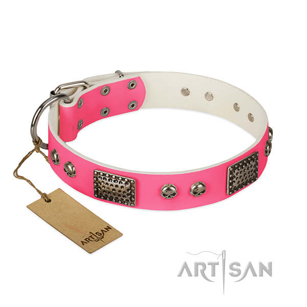 Adjustable leather dog collar for stylish walking your dog