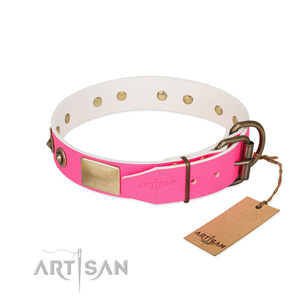 Reliable fittings on leather dog collar for your canine