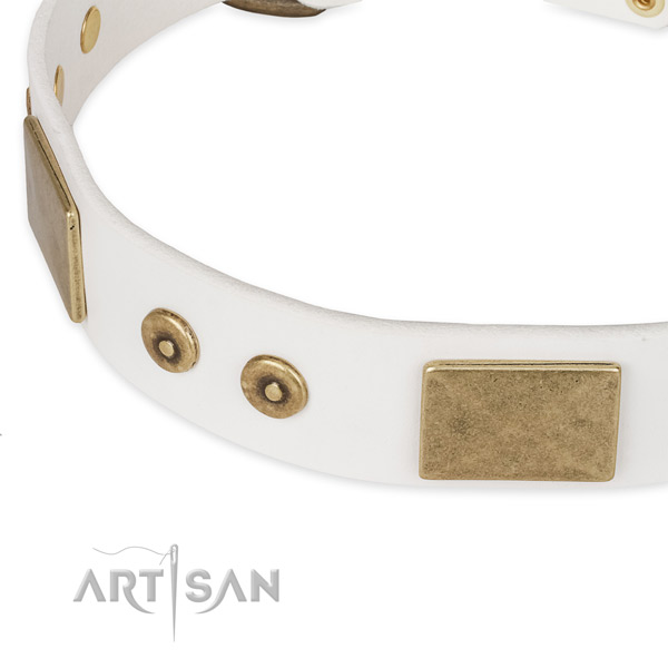 Strong traditional buckle on natural leather dog collar for your four-legged friend