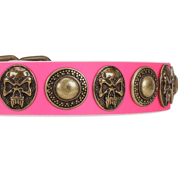 Rust-proof traditional buckle on leather dog collar for your pet