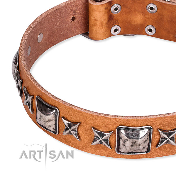 Stylish walking adorned dog collar of durable full grain genuine leather