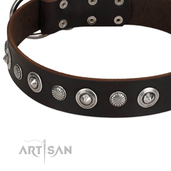 Awesome embellished dog collar of reliable full grain leather