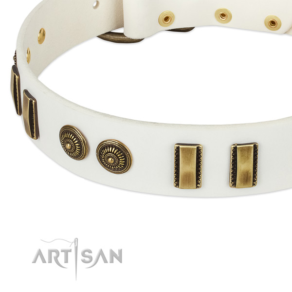 Reliable decorations on leather dog collar for your four-legged friend