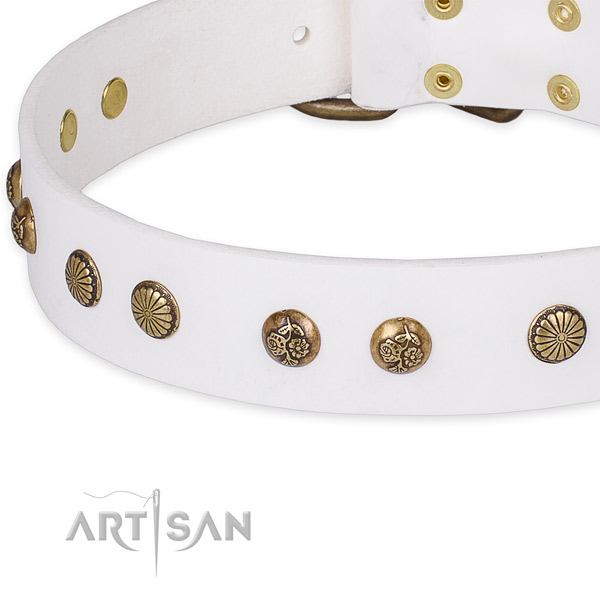 Full grain genuine leather collar with strong traditional buckle for your stylish doggie