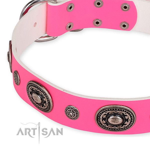 Genuine leather dog collar with stunning corrosion proof adornments