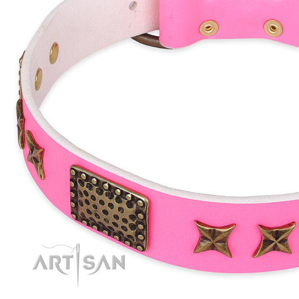Leather collar with corrosion resistant traditional buckle for your handsome canine