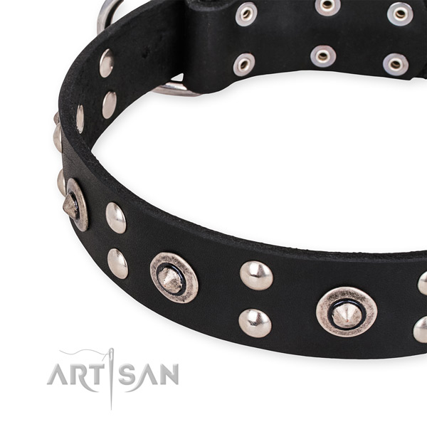 Full grain natural leather collar with corrosion resistant hardware for your beautiful canine