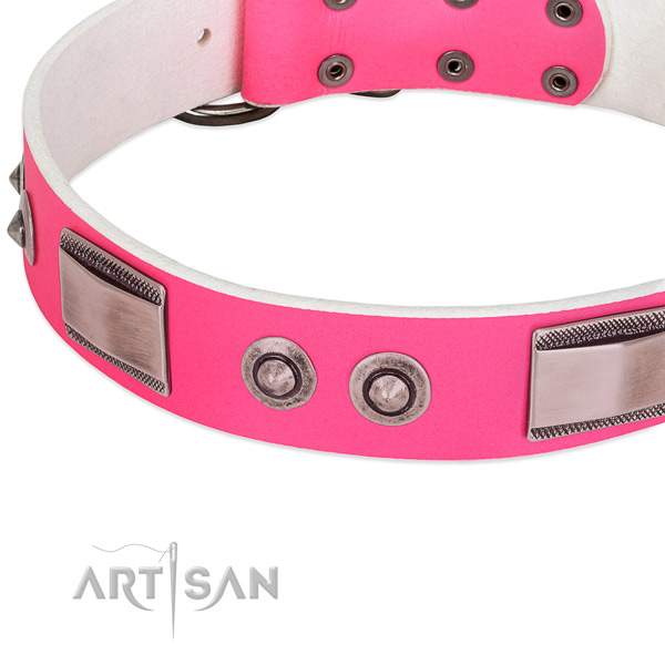 Remarkable full grain natural leather collar with embellishments for your pet