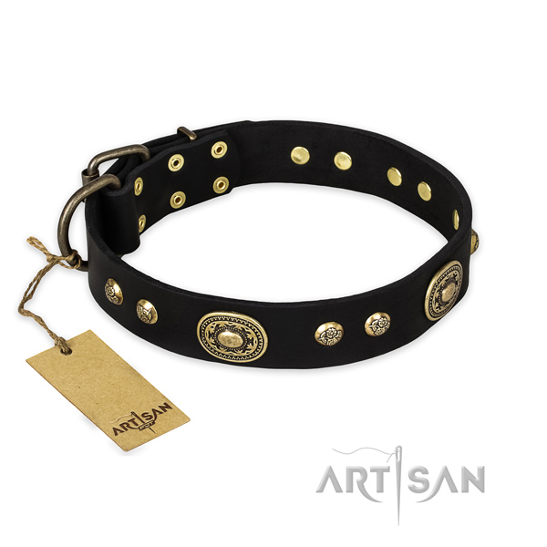 Exceptional leather dog collar with corrosion proof buckle