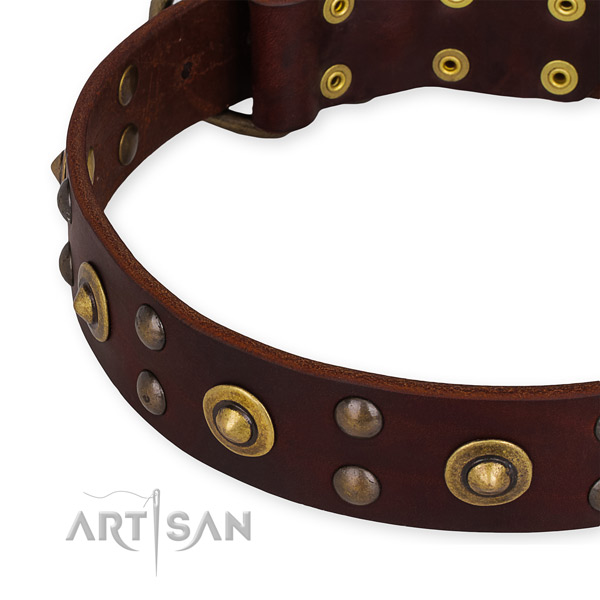 Leather collar with strong hardware for your beautiful canine